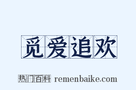 觅爱追欢是什么意思的图片